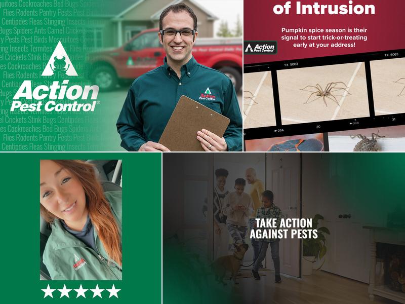 Action Pest Control