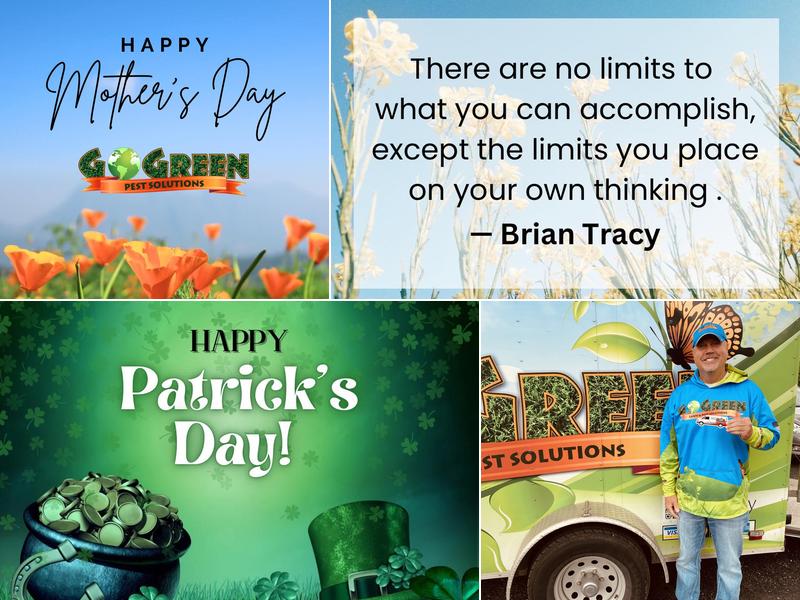 Go Green Pest Solutions