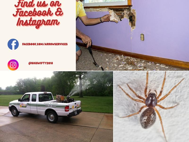 Arrow Pest Control Services Plymouth