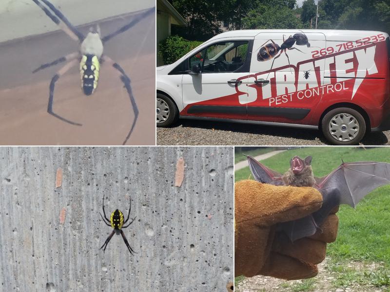 Stratex Pest Control LLC