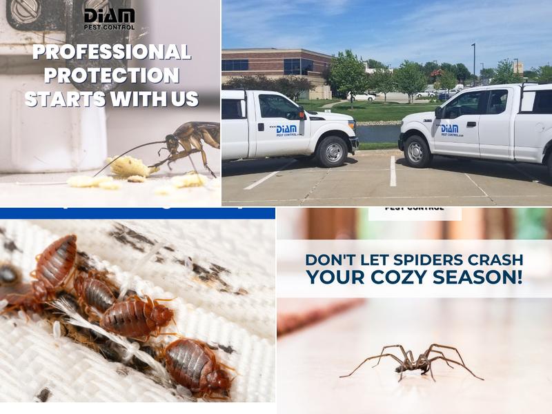 Diam Pest Control