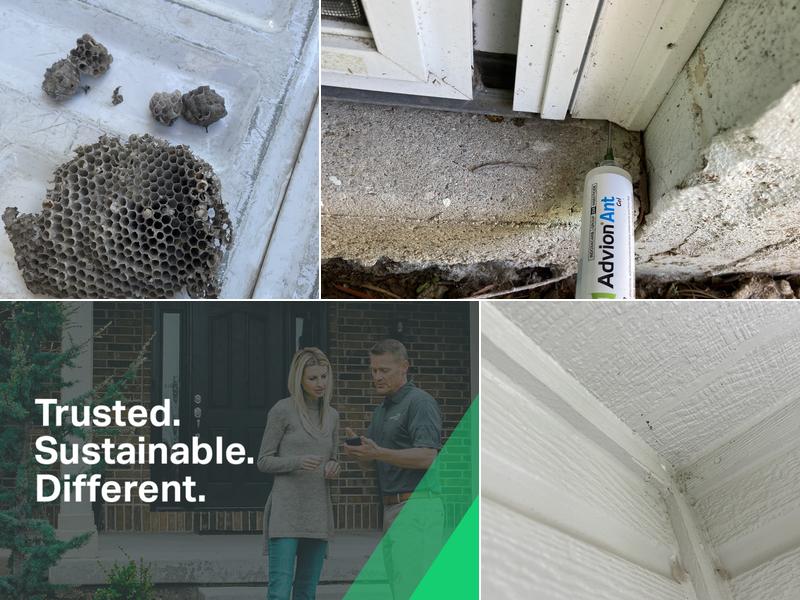 Greenix Pest Control