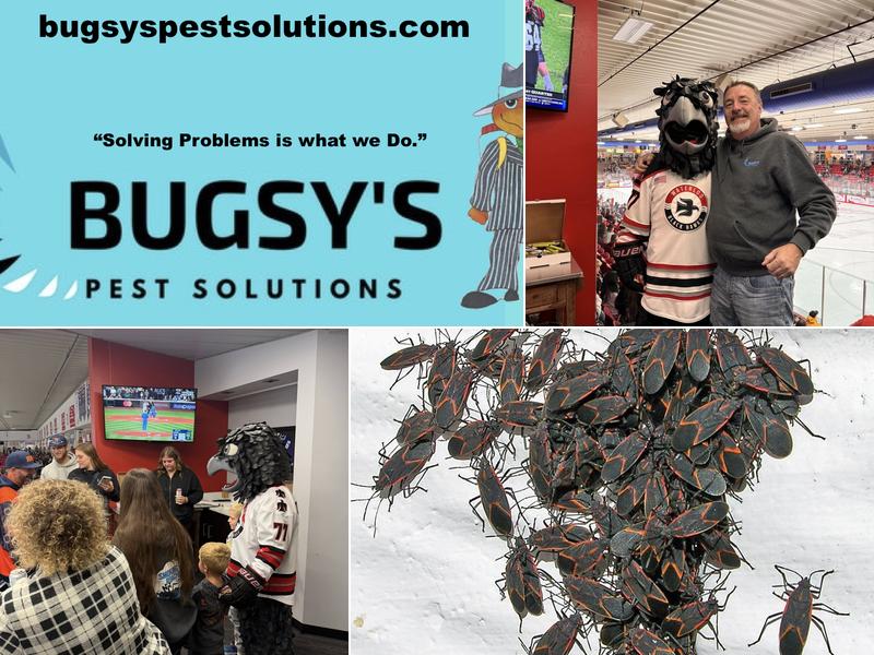 Bugsy's Pest Solutions