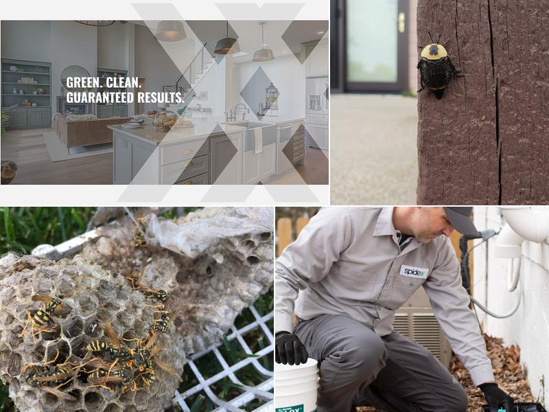 Spidexx Pest Control - Nebraska