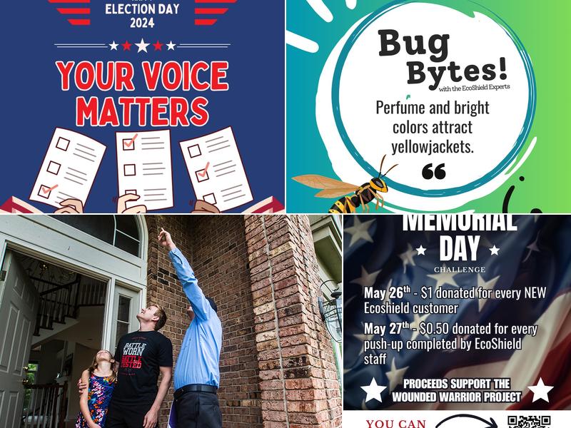 EcoShield Pest Solutions