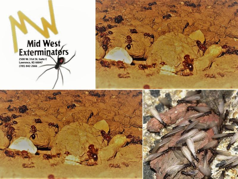 Midwest Exterminators Inc.