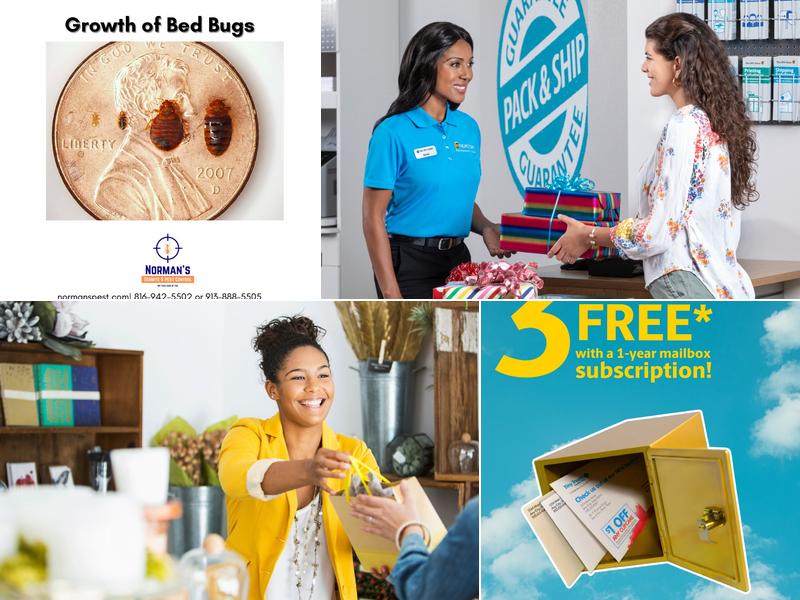 Norman's Termite & Pest Control