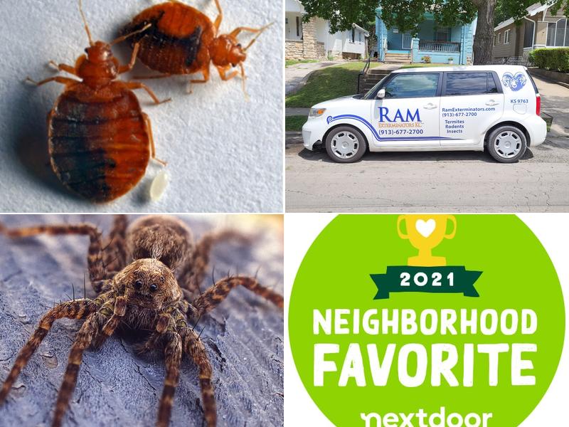 Ram Exterminators KC| Pest Control Kansas City