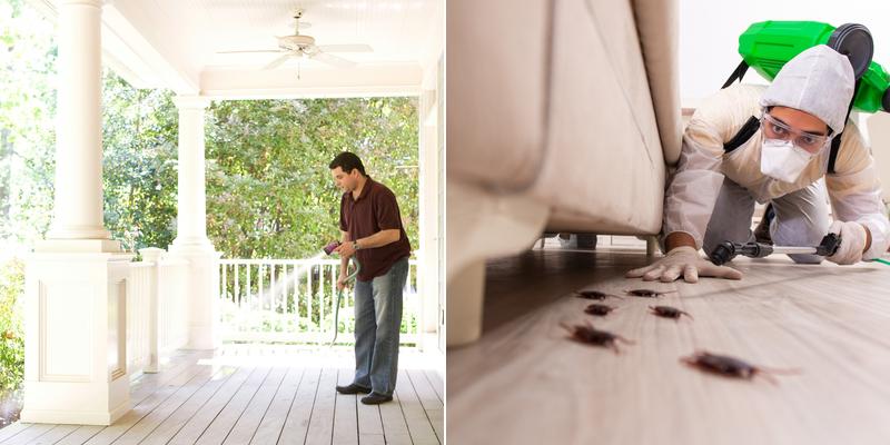 Allied Integrated Pest Management