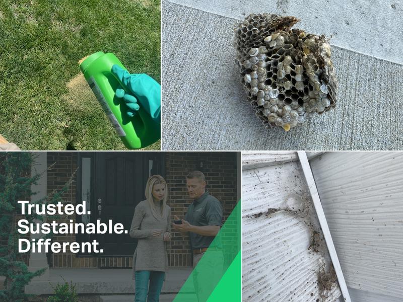 Greenix Pest Control