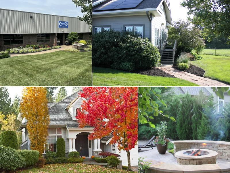 Aspen Lawn & Pest Control