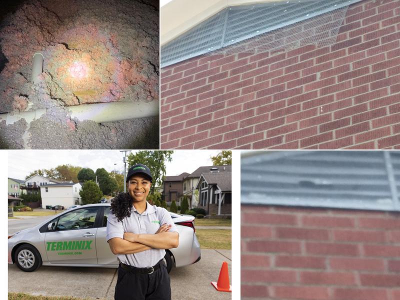 Terminix