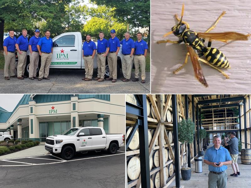IPM Pest and Termite