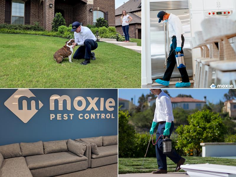 Moxie Pest Control