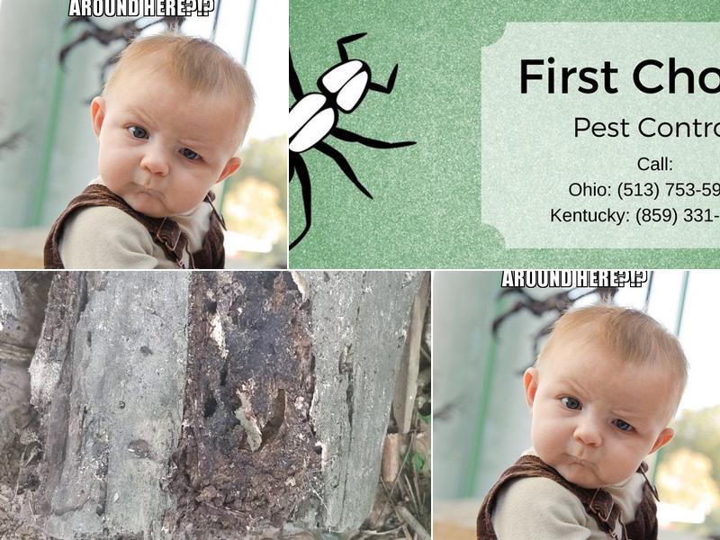 First Choice Pest Control