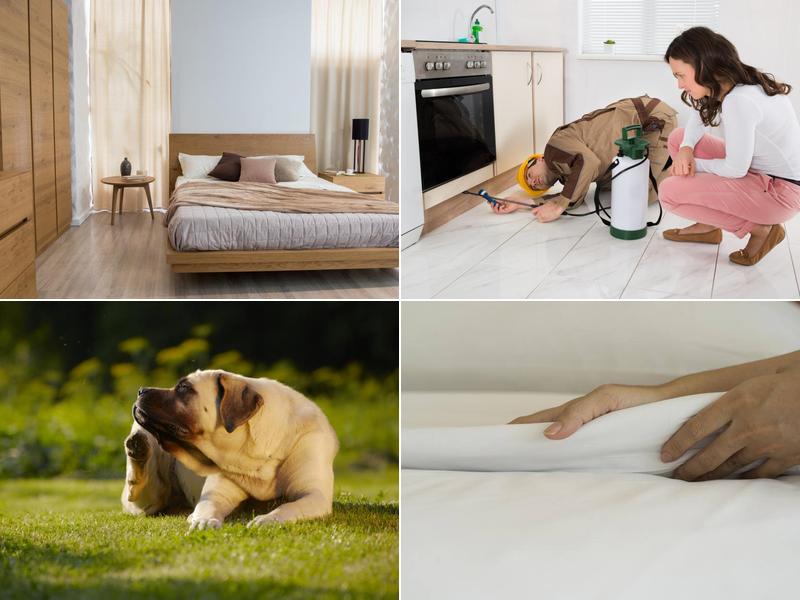 Guarantee Pest Control, Inc.