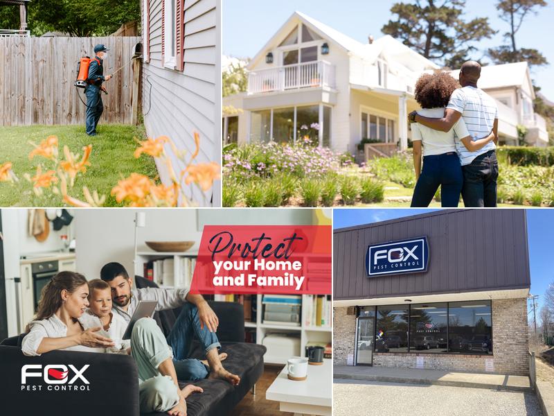 Fox Pest Control - Lexington