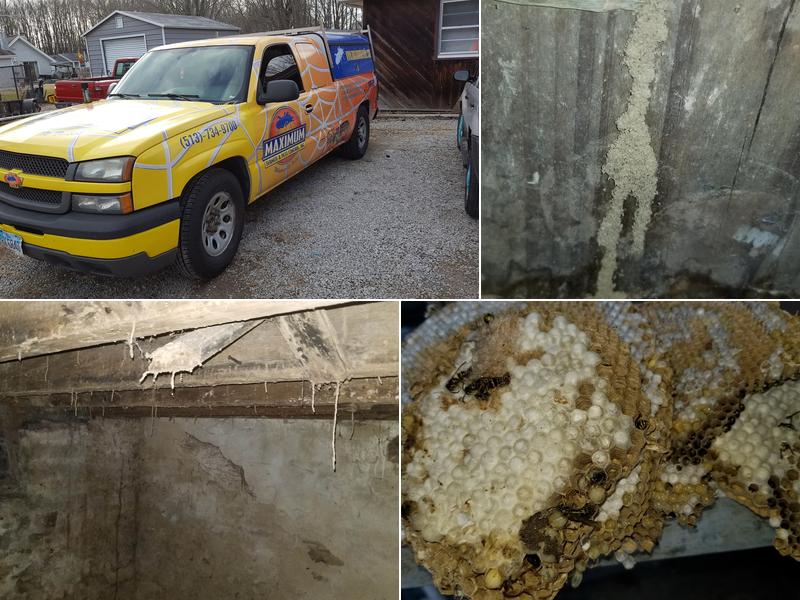 Maximum Termite & Pest Control