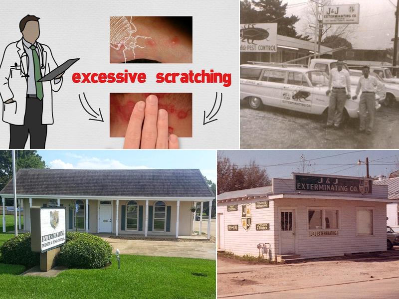 J&J Exterminating Alexandria