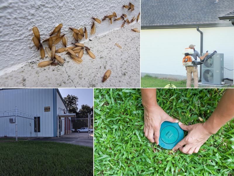 Bayou Mosquito & Pest Management LLC of Cenla