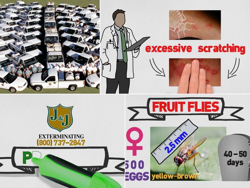 J&J Exterminating Baton Rouge