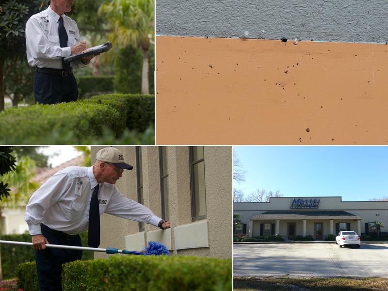Massey Services Pest Control