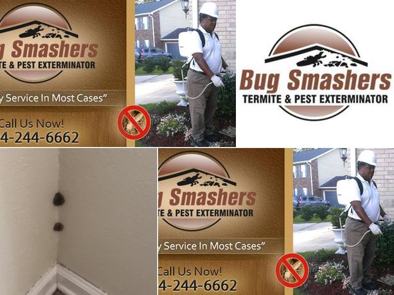 Bug Smashers Exterminators