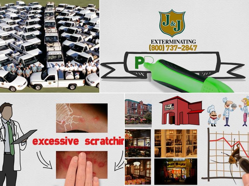J&J Exterminating Mandeville