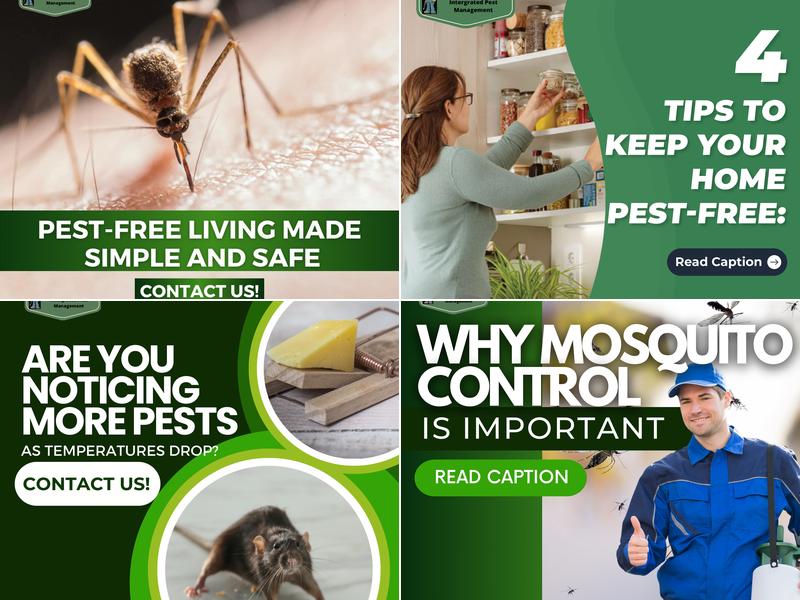 Destroy Pest Control