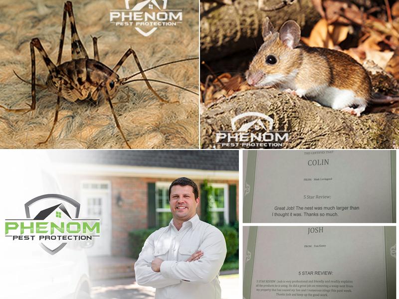 Phenom Pest Protection