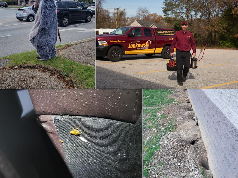 Jankowski Pest Control llc