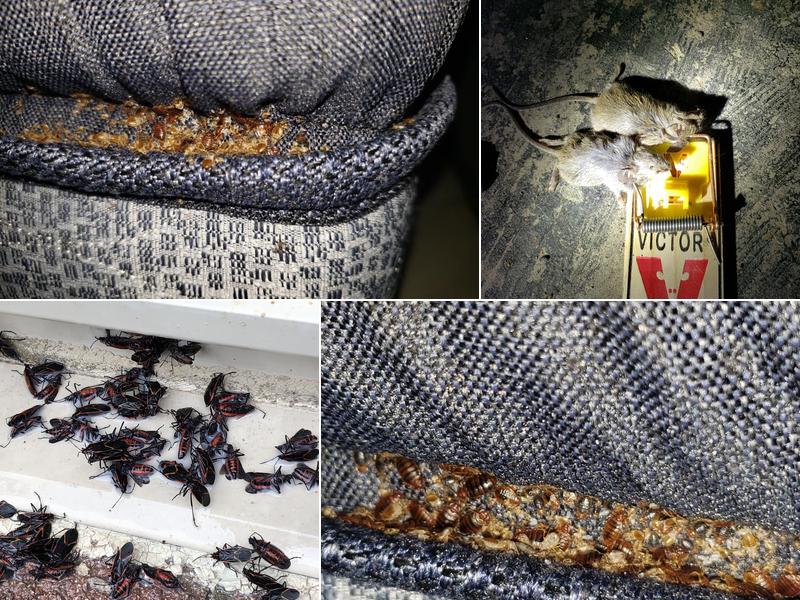 Omega Pest Control LLC