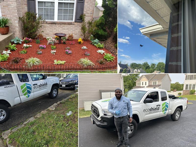 EcoShield Pest Solutions