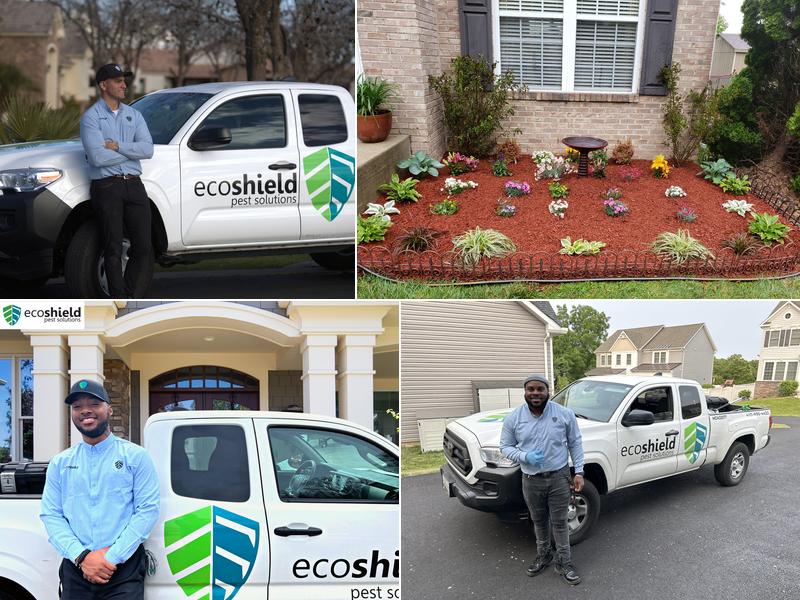 EcoShield Pest Solutions