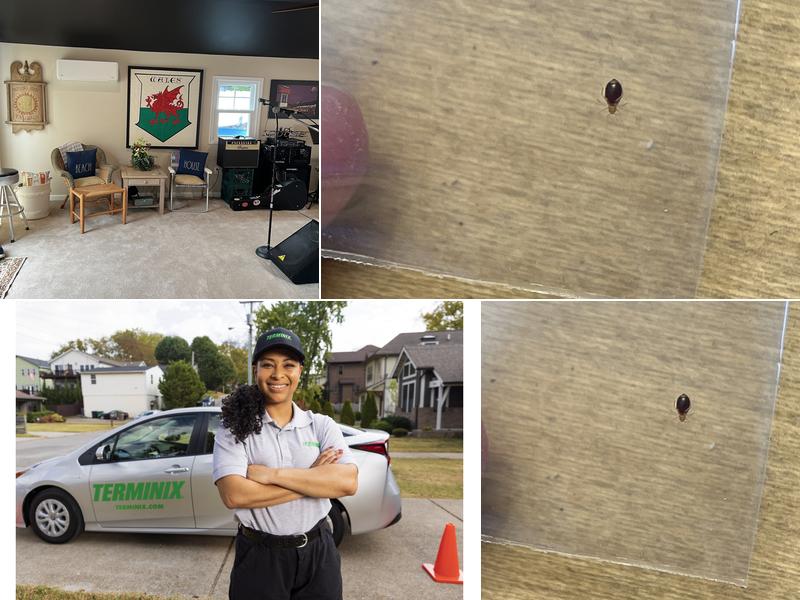 Terminix