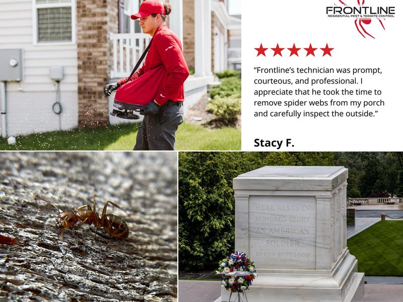 Frontline Pest Control