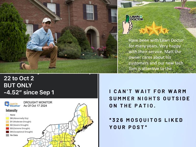 Lawn Doctor of: Carroll County, Reisterstown, Towson