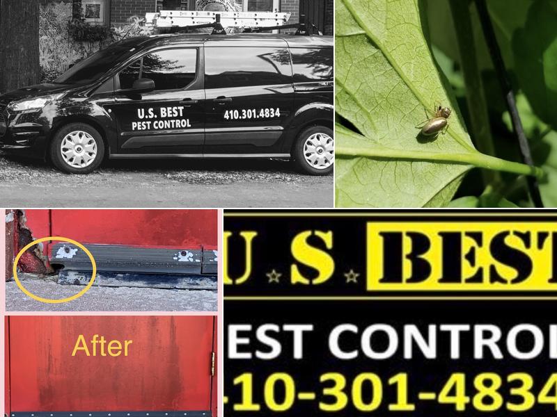 U.s Best Pest Control