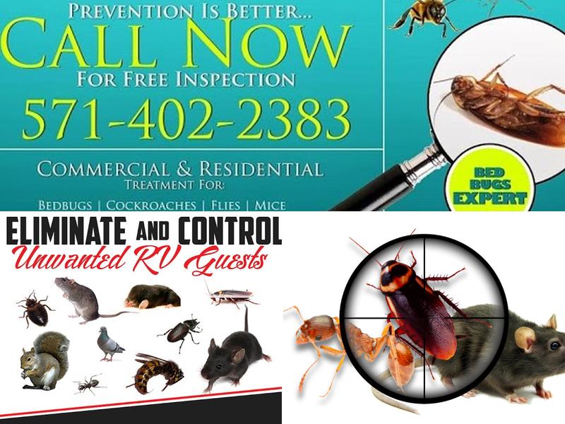 Primax Pest Control Services
