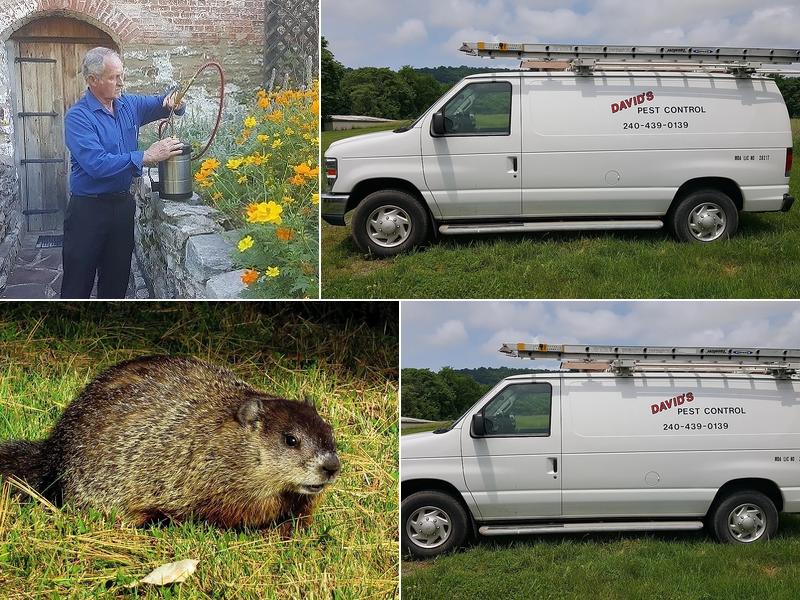 David's Pest Control