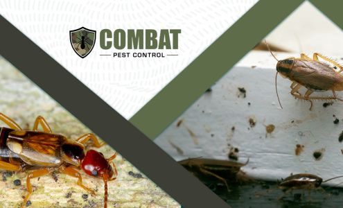 Combat Pest Control 800 Franklin St, Hanson Massachusetts 02341