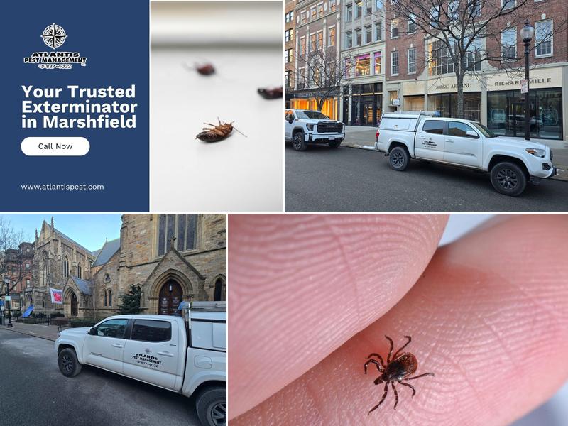 Atlantis Pst Mgmt Inc