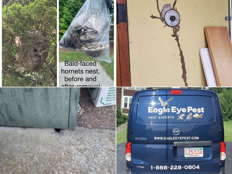 Eagle Eye Pest Control inc.