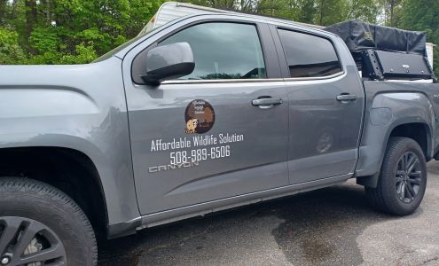 Affordable Wildlife Solution