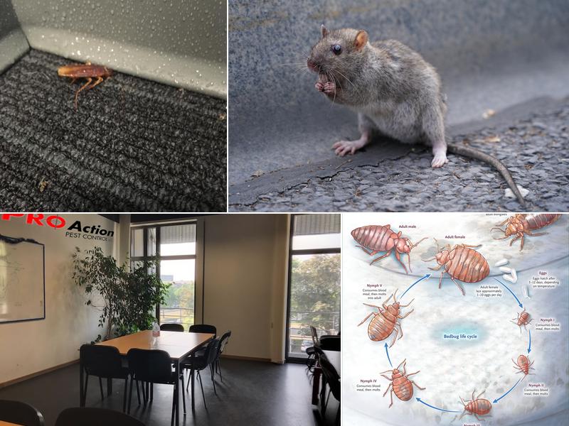 ProAction Pest Control