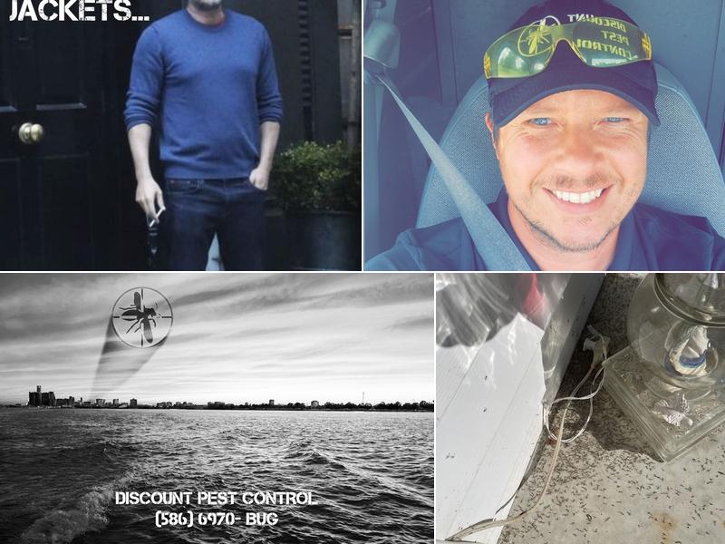 Discount Pest Control