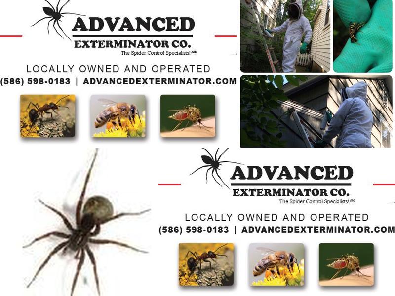 Advanced Exterminator Co