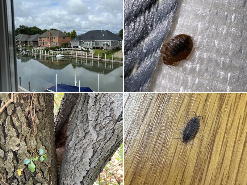 Hi-Tech Pest Control