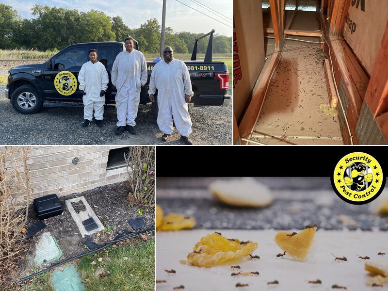 Security Pest Control