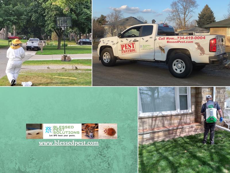 Blessed Pest Solutions